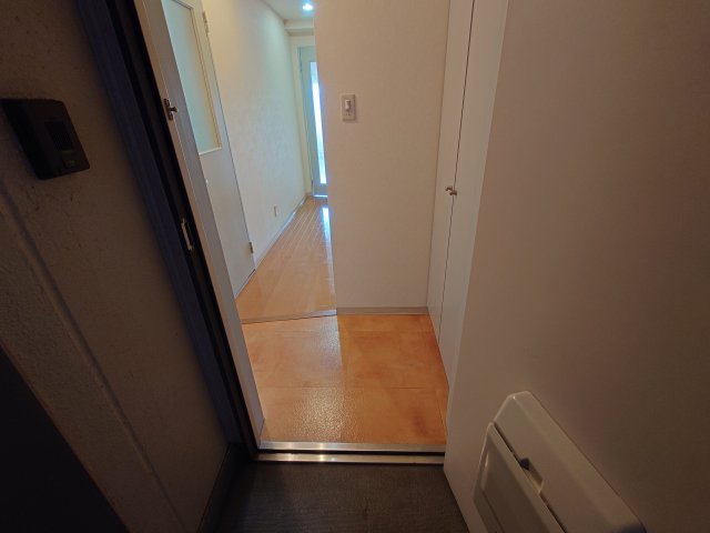 玄関　同物件別号室の写真です。