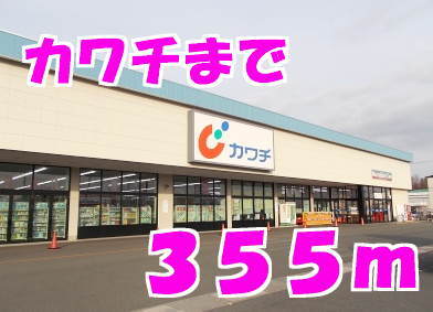 その他　カワチ（その他）まで355m
