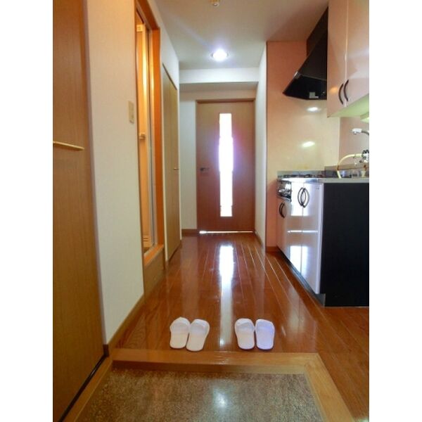 玄関　現況優先です。