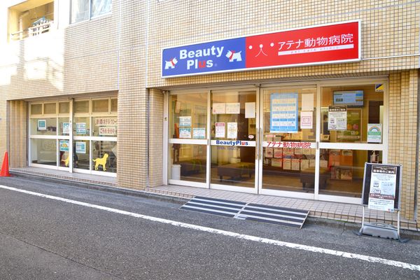病院　アテナ動物病院 亀戸店（病院）まで1124m