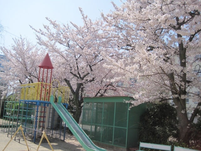 幼稚園・保育園　花園幼稚園（幼稚園・保育園）まで244m