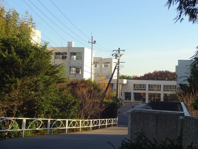 中学校　知多市立旭南中学校（中学校）まで2833m