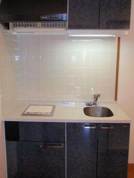 キッチン　※同じ間取り別号室参考写真 　現状優先