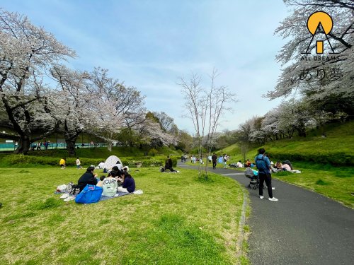 公園　神奈川県立保土ケ谷公園（公園）まで1053m