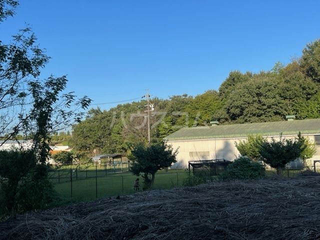 その他　ドッグウィズ（その他）まで1117m