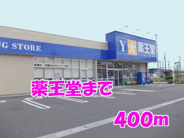 その他　薬王堂（その他）まで400m