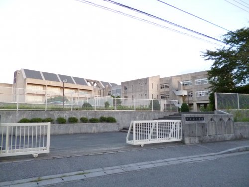 小学校　池の上小学校（小学校）まで1149m