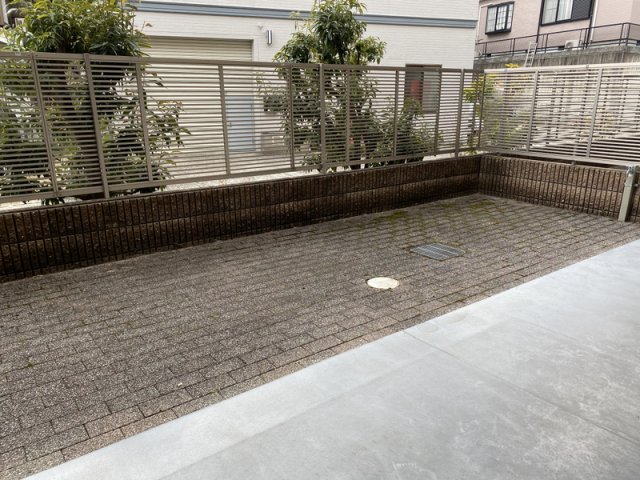 庭