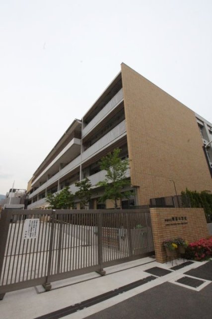 中学校　芦屋市立精道中学校（中学校）まで500m