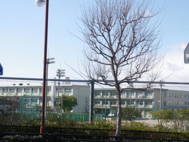 中学校　豊田市立竜神中学校（中学校）まで907m