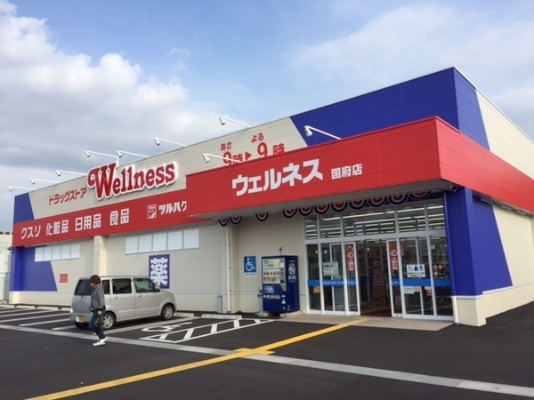 ドラックストア　ドラッグストアウェルネス国府店（ドラッグストア）まで1057m