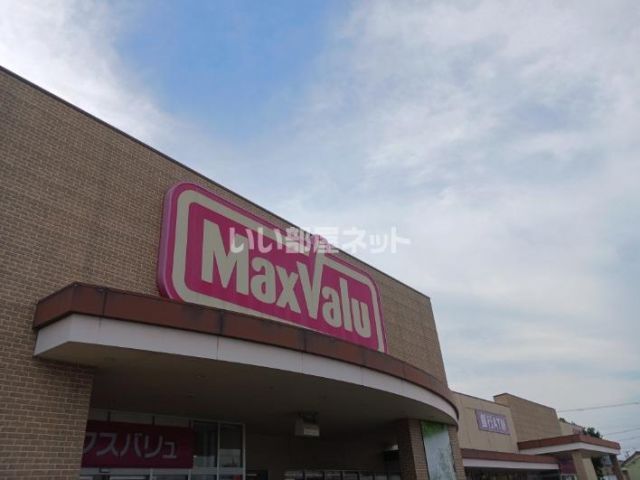 スーパー　マックスバリュ中島店（スーパー）まで1261m