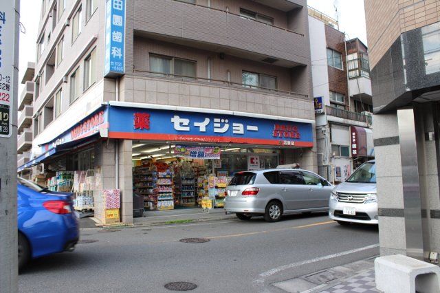 ドラックストア　くすりセイジョー沼部店（ドラッグストア）まで816m