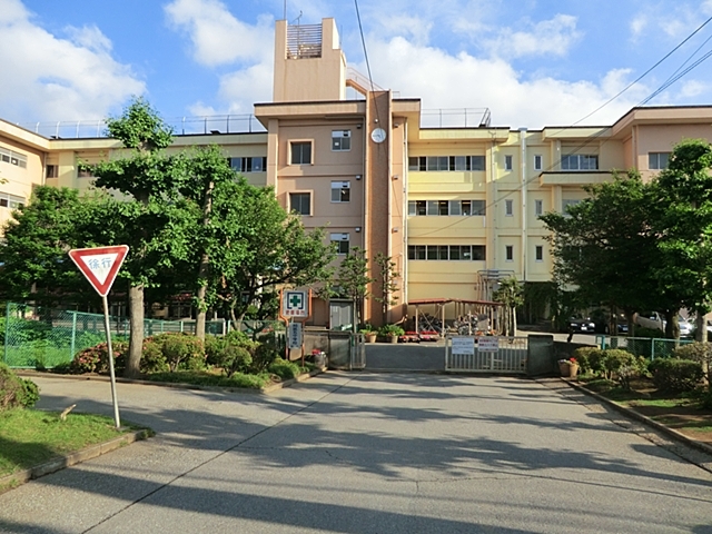 中学校　柏第五中学校（中学校）まで499m