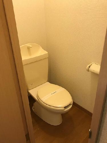 トイレ　現況優先