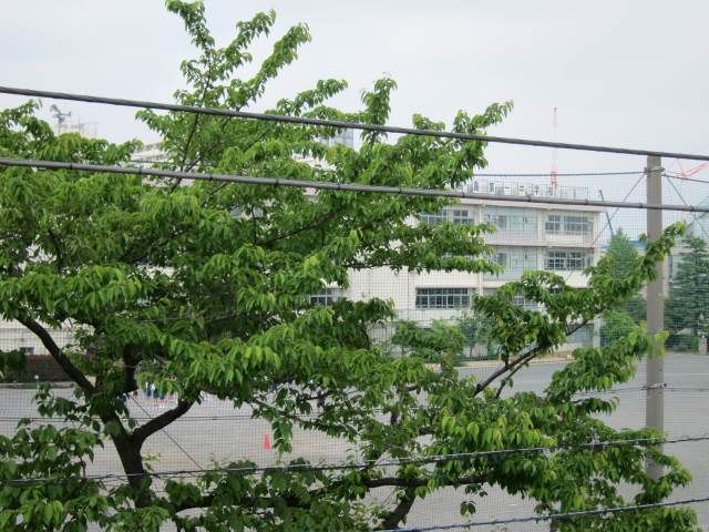中学校　高島第一中学校（中学校）まで181m