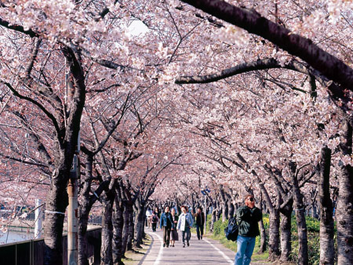 公園　河川公園（公園）まで150m