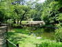 公園　哲学堂公園（公園）まで399m
