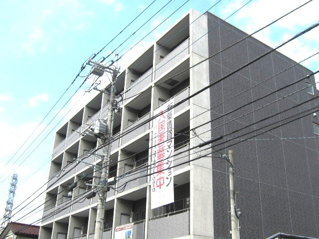 Pharos・Court