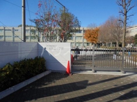 小学校　板橋区立志村第五小学校（小学校）まで1264m