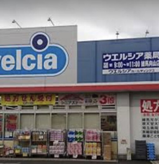 ドラックストア　ウエルシア練馬向山店（ドラッグストア）まで66m