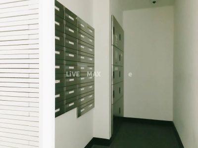 その他共有部分　★弊社は仲介手数料・半月分+税でご紹介可能です★