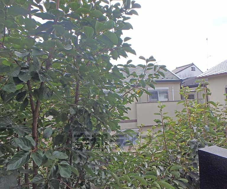 眺望　窓がからの景色です。