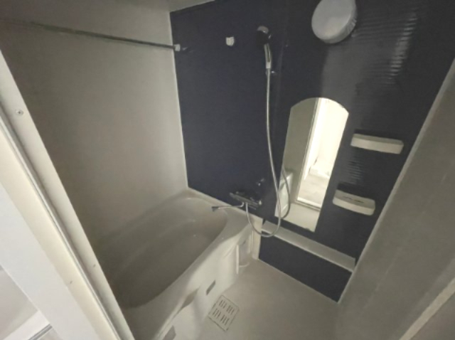 バス・シャワールーム　ソルテラス阿波座ウィズ　浴室