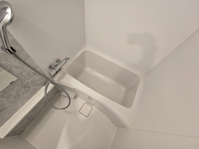 バス・シャワールーム　エスリード ザ・レガリア新栄PREMIER