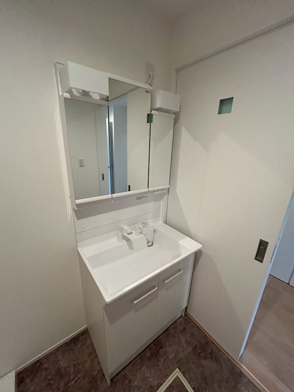 洗面設備　シャワー付き洗面化粧台