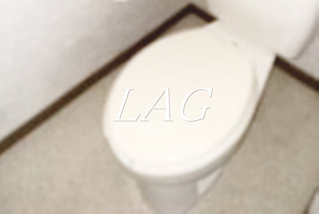トイレ　トイレです。