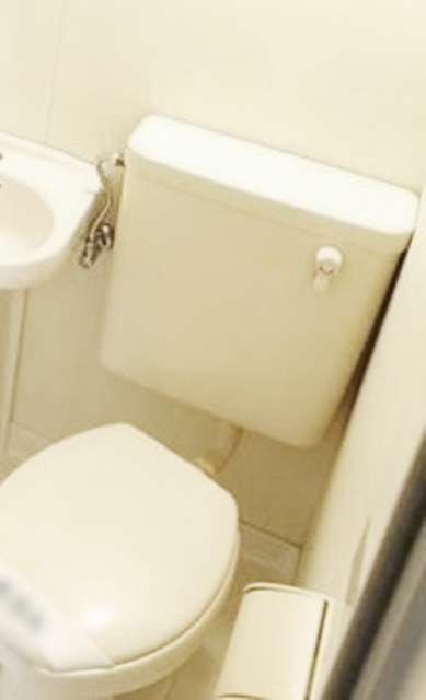 トイレ　同仕様写真