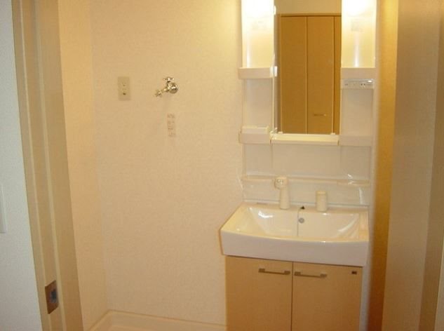 洗面設備　※別号室の写真です。