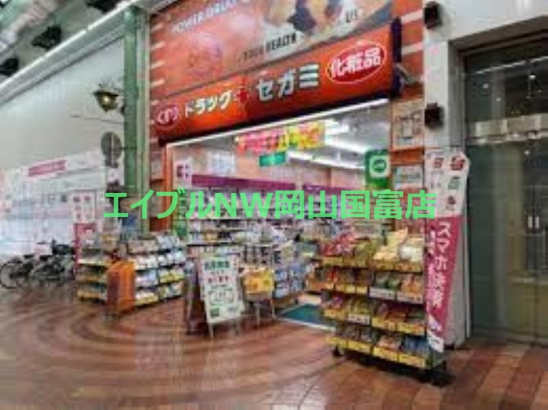ドラックストア　ドラッグセガミ岡山表町店（ドラッグストア）まで388m