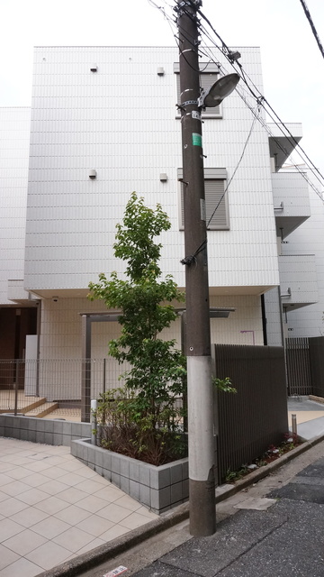 建物外観　新築♪インターネット無料物件☆