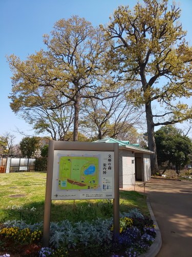 公園　文庫の森公園（公園）まで232m