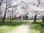 公園　三里塚公園（公園）まで410m