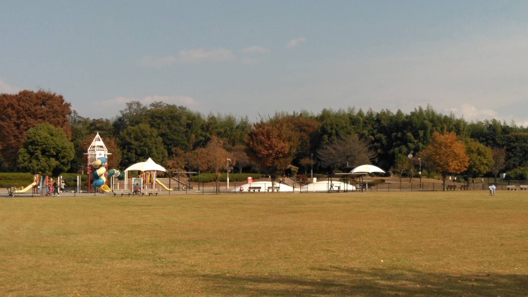 眺望　三ツ寺公園近く　春は桜、秋は紅葉の美景な人気公園