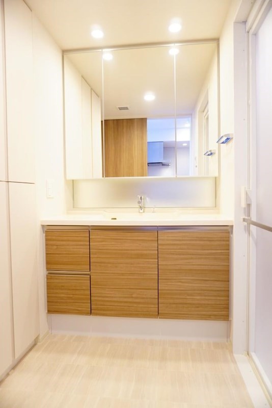 洗面設備　お掃除にも便利なシャワードレッサー