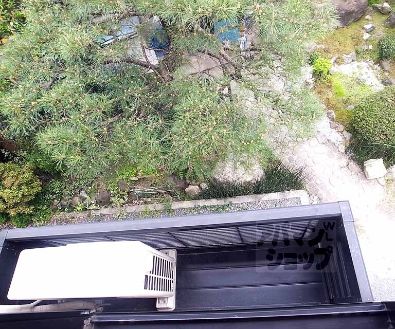 バルコニー　キレイな松です！