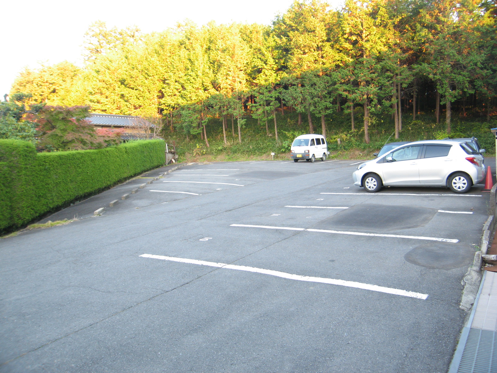 レジデンスTOYOUKE佐野_その他_5