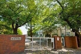 中学校　中野区立第五中学校（中学校）まで515m