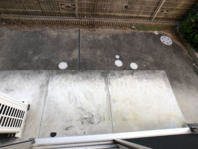 シュトラルヴェヌスの内装写真