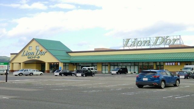 スーパー　リオンドール坂下店（スーパー）まで1000m