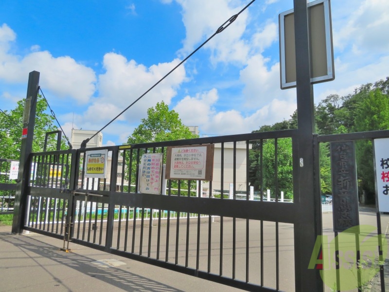 小学校　仙台市立折立小学校（小学校）まで1161m