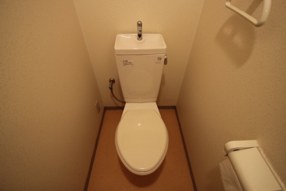 トイレ　※他号室の写真です。