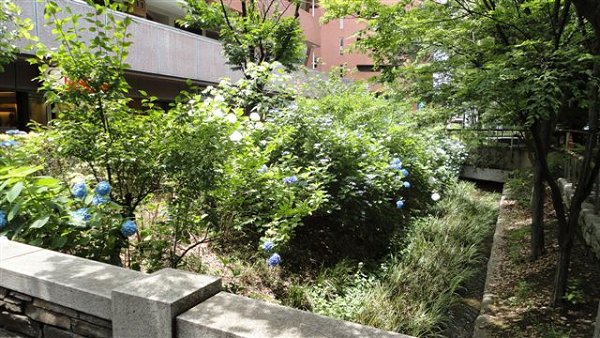 その他　玉川上水（その他）まで10m