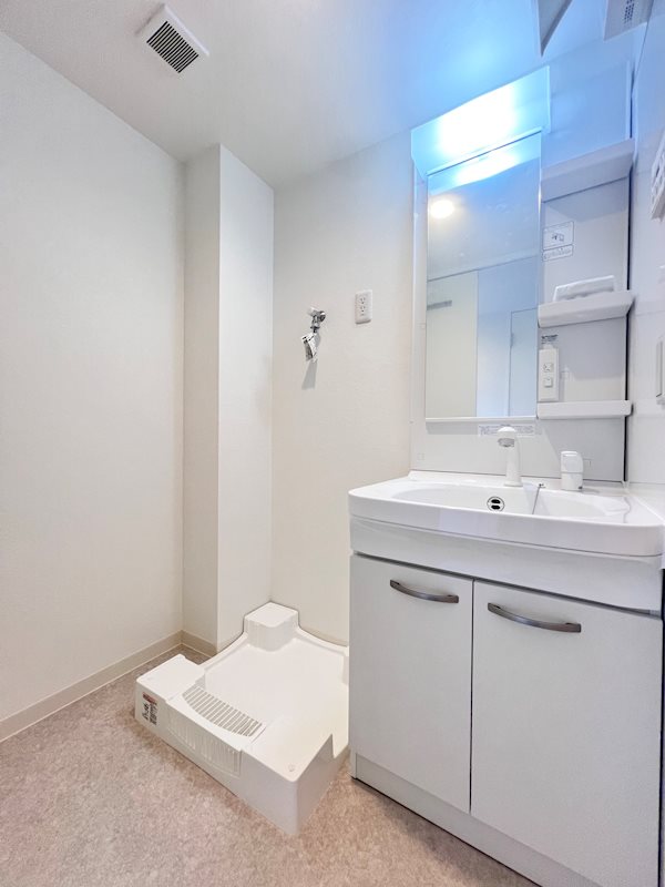 洗面設備　※別号室の写真です。