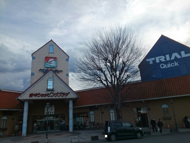 スーパー　トライアルマート安中店（スーパー）まで1200m