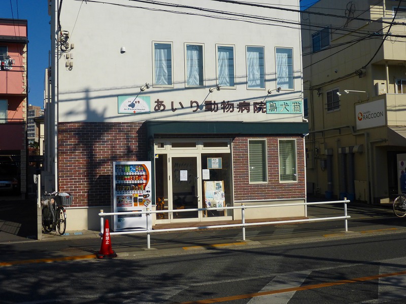 病院　あいり動物病院（病院）まで246m